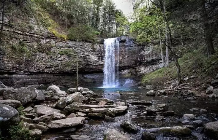 Cloudland Canyon State Park is an easy 15-20 minute drive from our property. Cloudland Canyon State Park is an easy 15-20 minute drive from our property. - Fox View Cottage - Rising Fawn