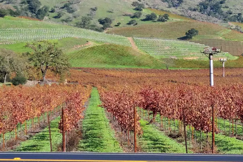 Nearby wineries Nearby wineries - NEW Unobstructed Lake/Mountain View home, movie rm - Kelseyville