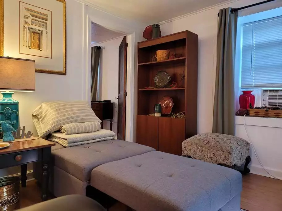 Premier APT wellness nature reserve SwanSanctuary - Birdsboro Premier APT wellness nature reserve SwanSanctuary - Birdsboro