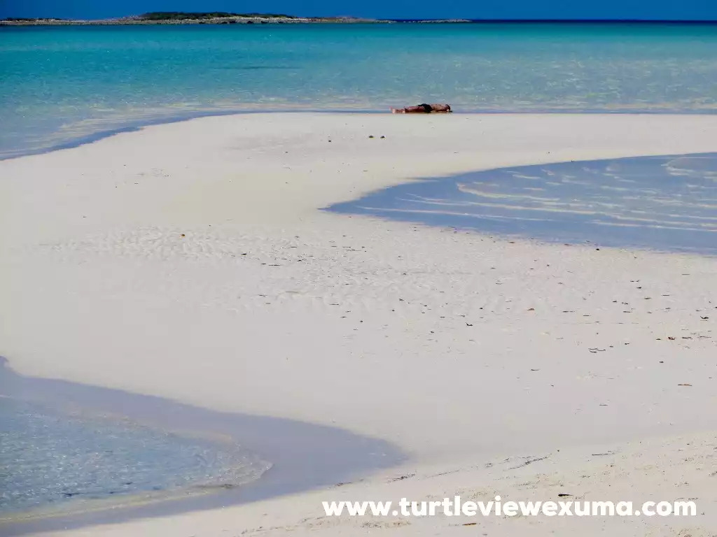 Sand bar Sand bar - Turtle View - Exuma
