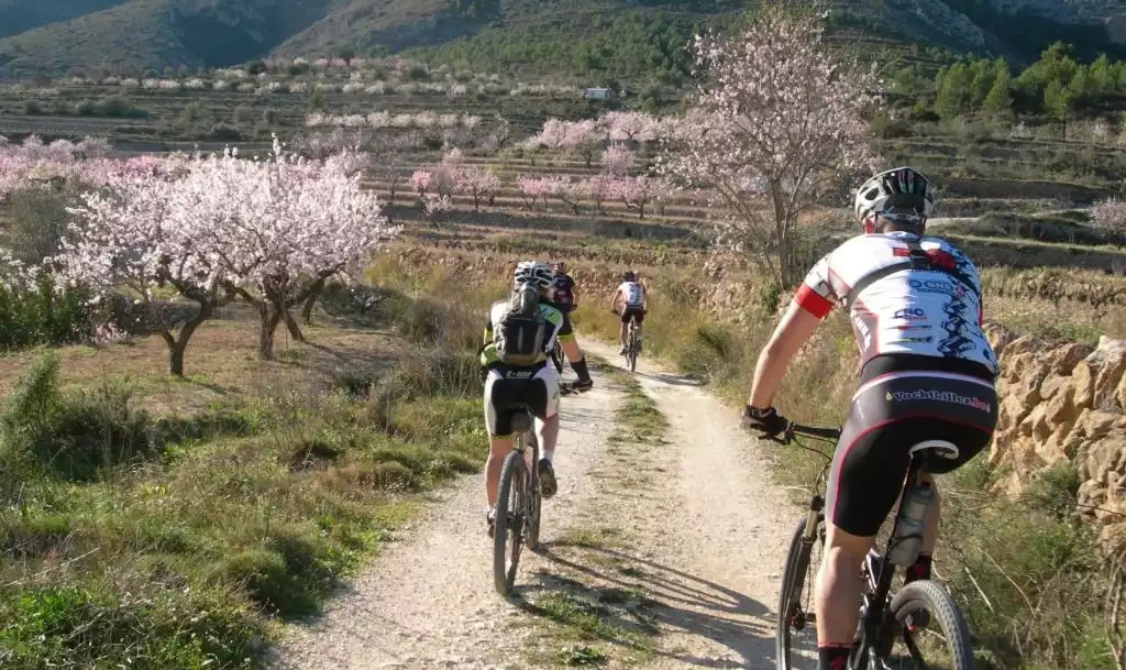 February : Mountain Biking between the blossoming almond trees in Benissa February : Mountain Biking between the blossoming almond trees in Benissa - penthouse-moraira Atico H - Moraira