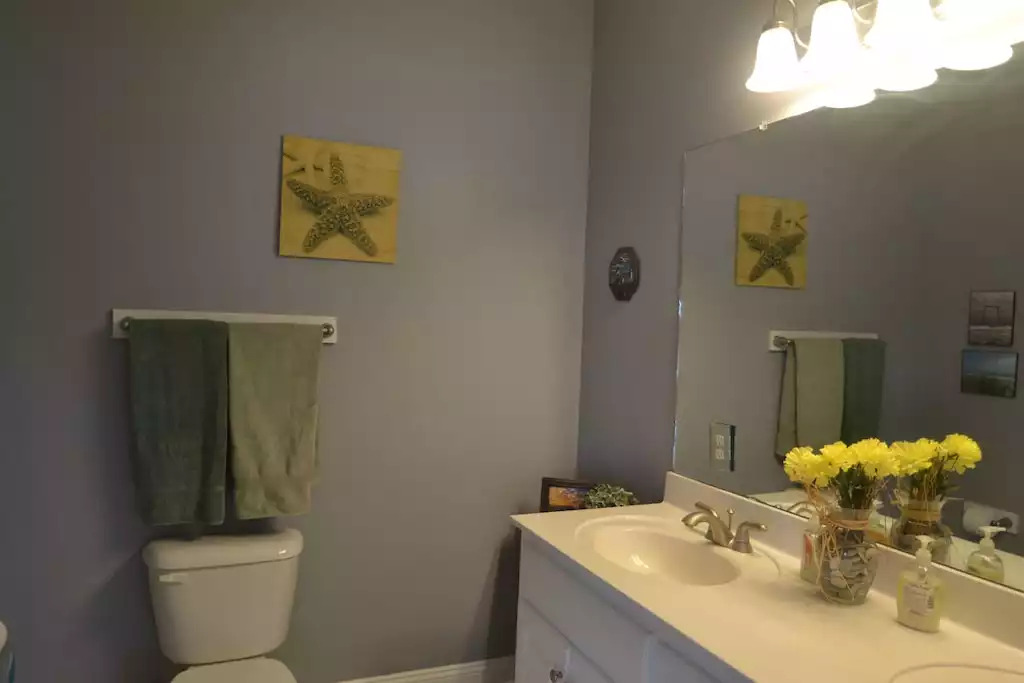 Middle Level Master Bath Middle Level Master Bath - PharmaSea - Surf City