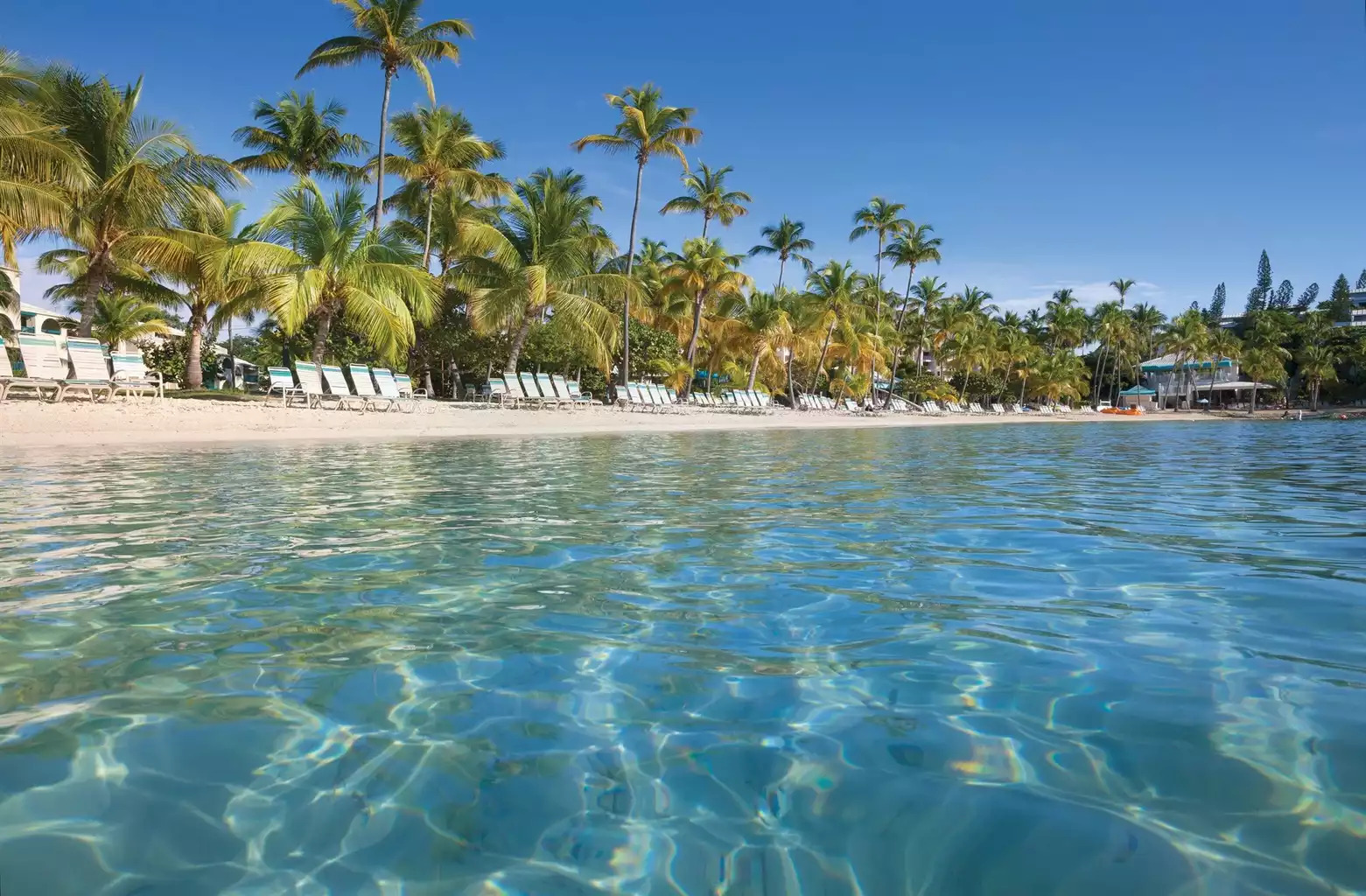 Elysian Beach Elysian Beach - Elysian Beach Resort Studio Double #A - St. Thomas