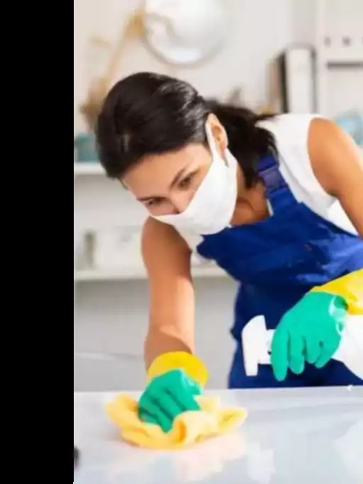 Complimentary PRO Sanitizing & Cleaning with each long term, extended stay (stays longer than one week). Complimentary PRO Sanitizing & Cleaning with each long term, extended stay (stays longer than one week). - Premier APT wellness nature reserve SwanSanctuary - Birdsboro