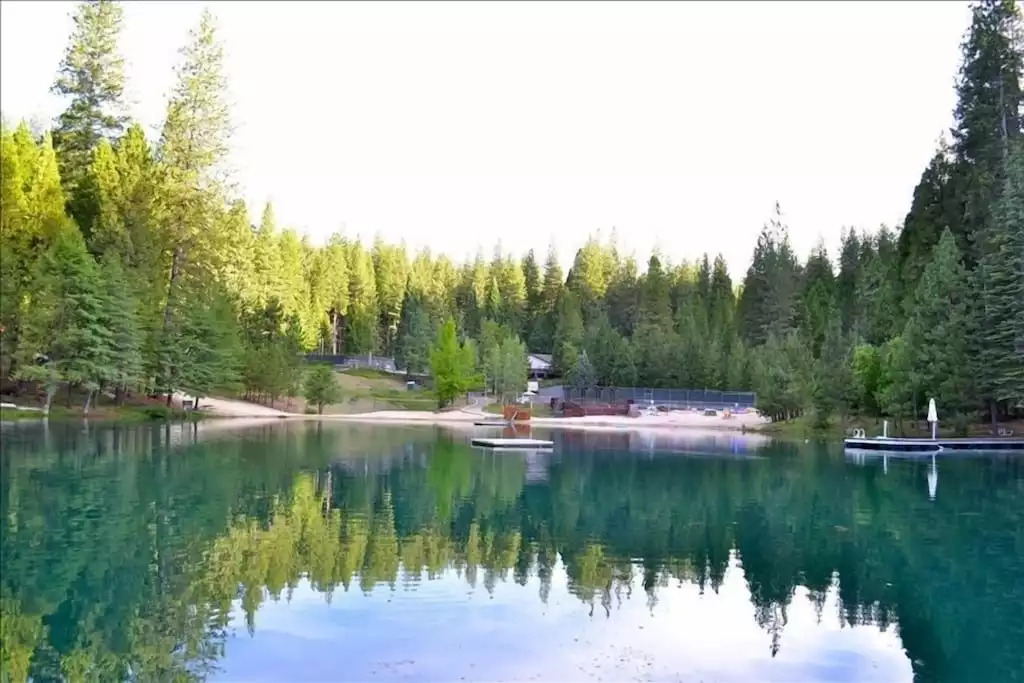 Dancing Bear Cabin in Arnold: 408-828-5019 - Arnold Dancing Bear Cabin in Arnold: 408-828-5019 - Arnold