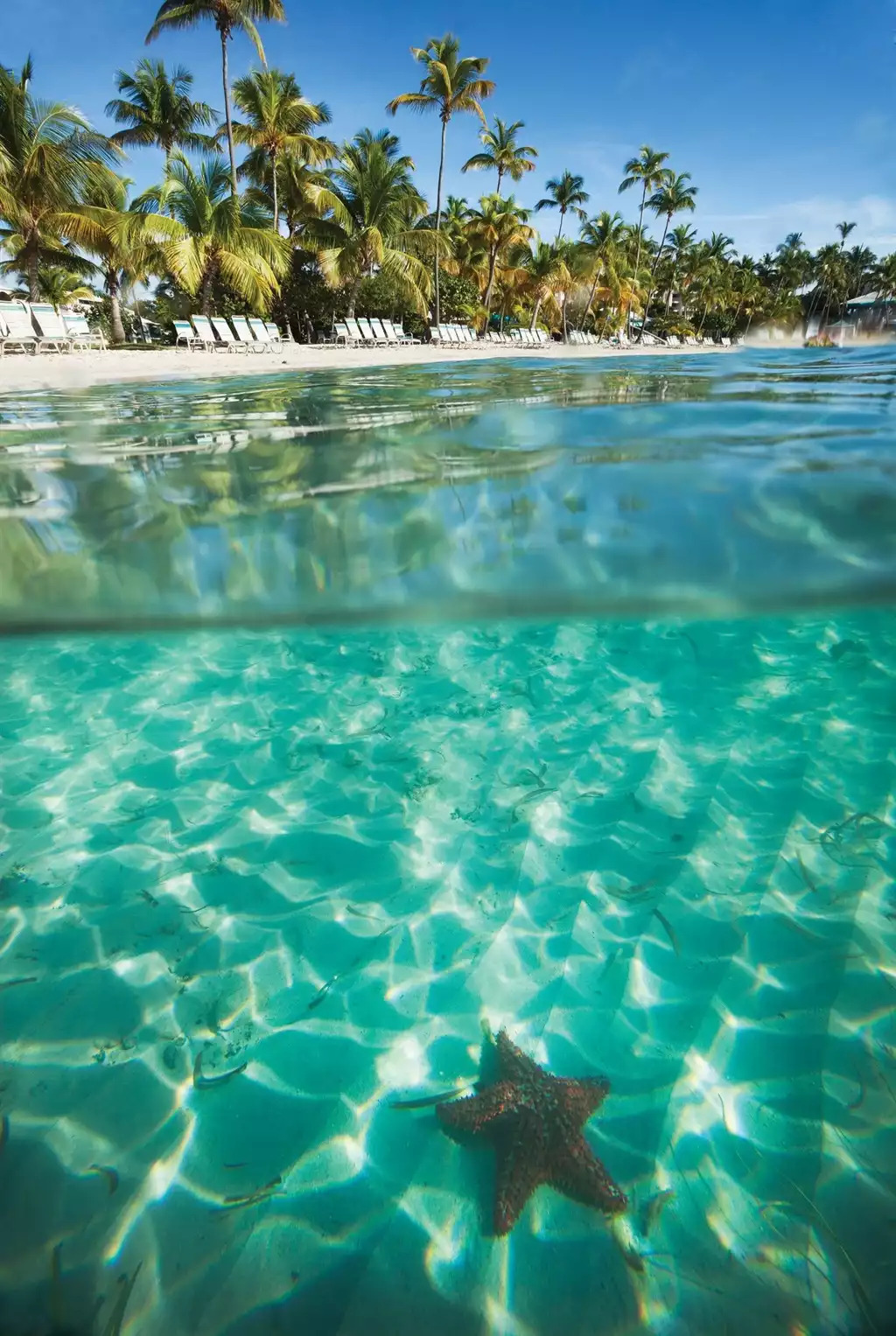 Elysian Beach Elysian Beach - Elysian Beach Resort Studio Double #B - St. Thomas