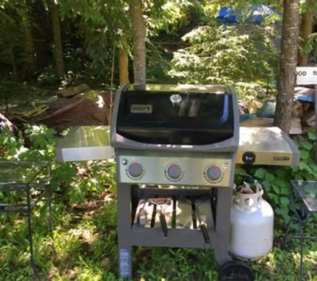 Gas Grill Gas Grill - Vermont Cottage Amherst Lake & Sanctuary - Plymouth