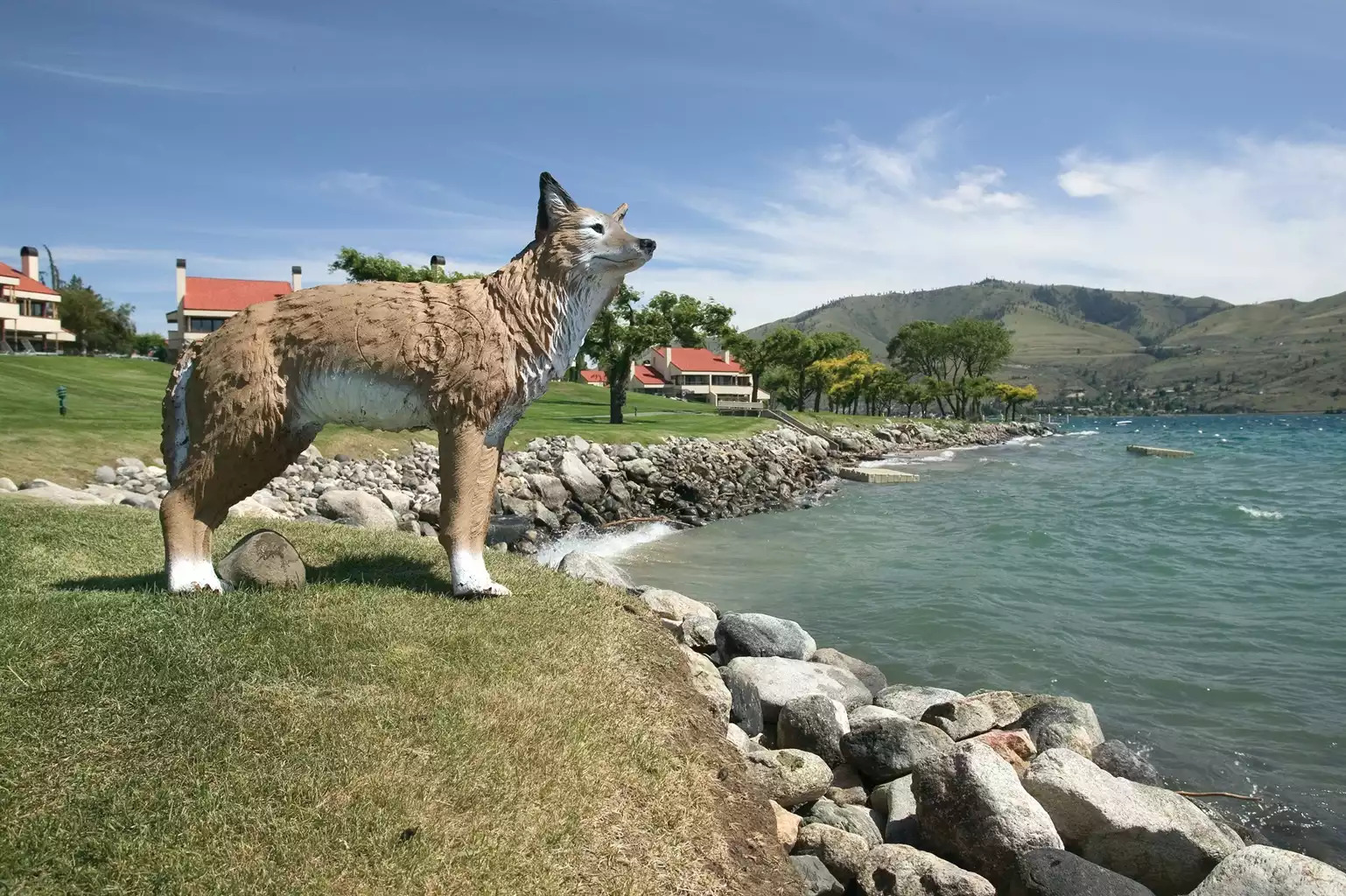 Lake Chelan Lake Chelan - Lake Chelan Shores 1bdr - Chelan