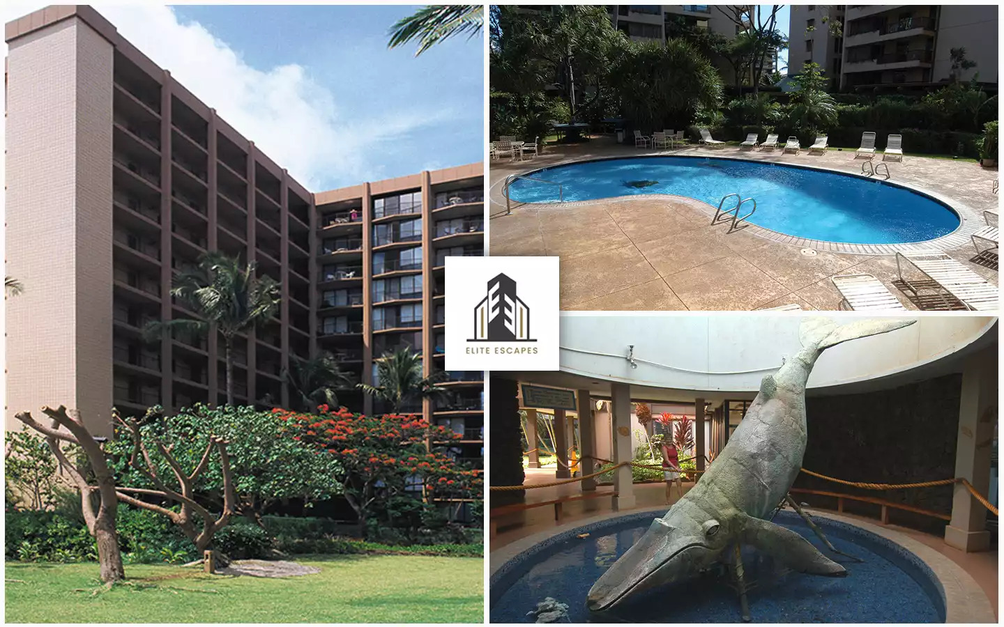 Valley Isle Resort 1bdr #A - Lahaina Valley Isle Resort 1bdr #A - Lahaina