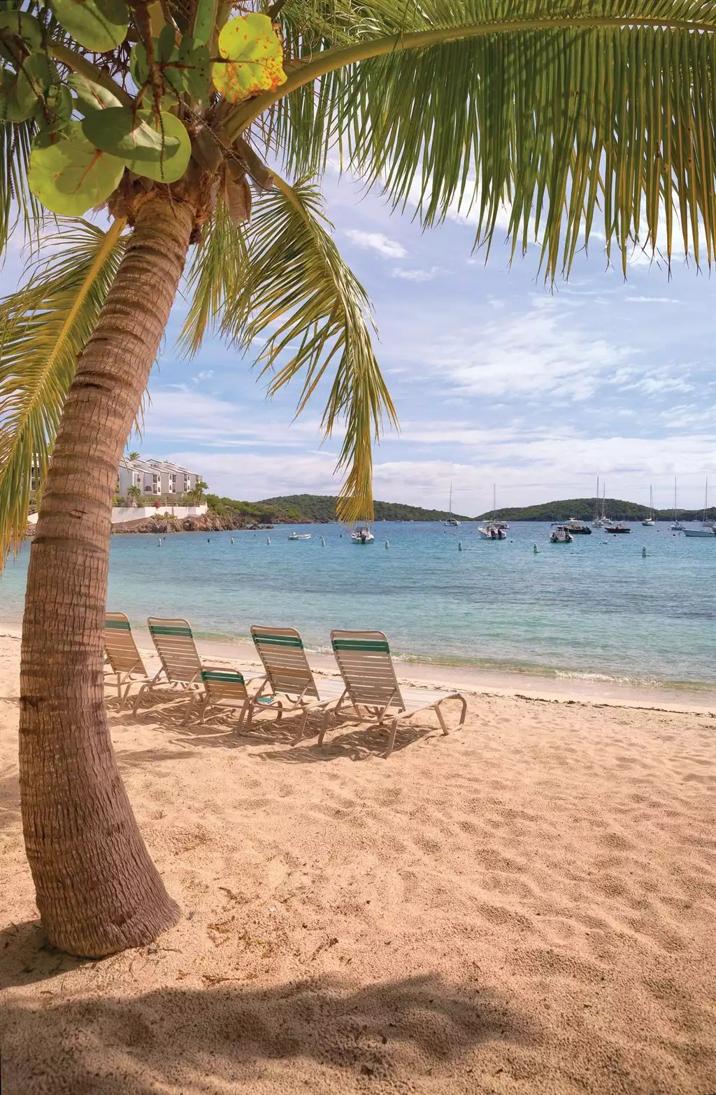 Elysian Beach Elysian Beach - Elysian Beach Resort Studio Double #A - St. Thomas