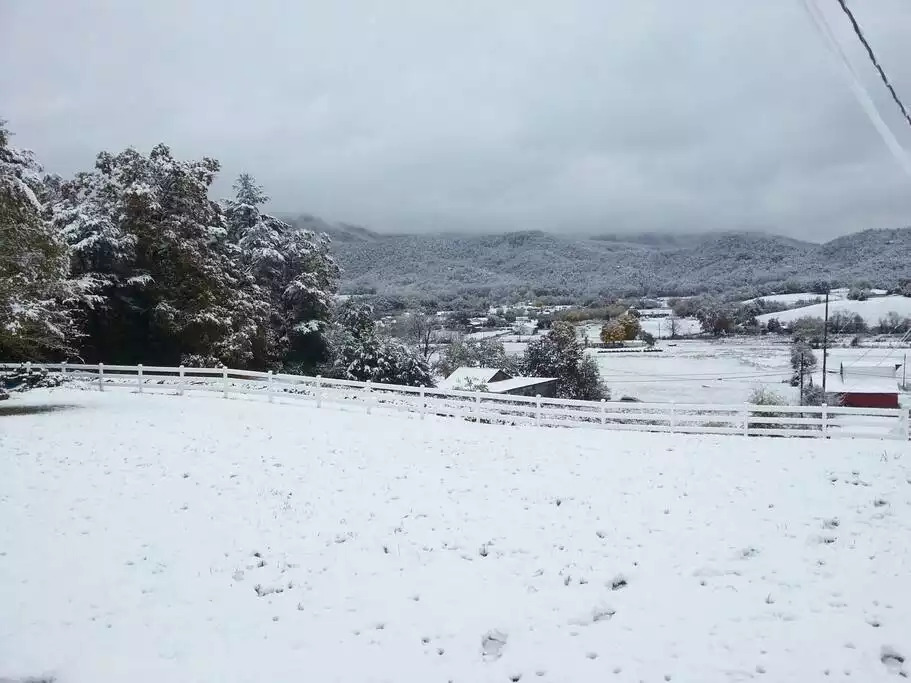 View from cottage. View from cottage. - Lovely Cottage with Smoky Mtn views & Bkfast!! - Pigeon Forge