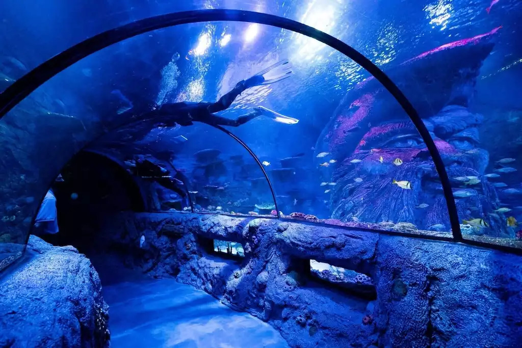 San Antonio Aquarium, literally right around the corner. San Antonio Aquarium, literally right around the corner. - Cozy Home w/Private Pool. Lackland AFB/SeaWorld - San Antonio