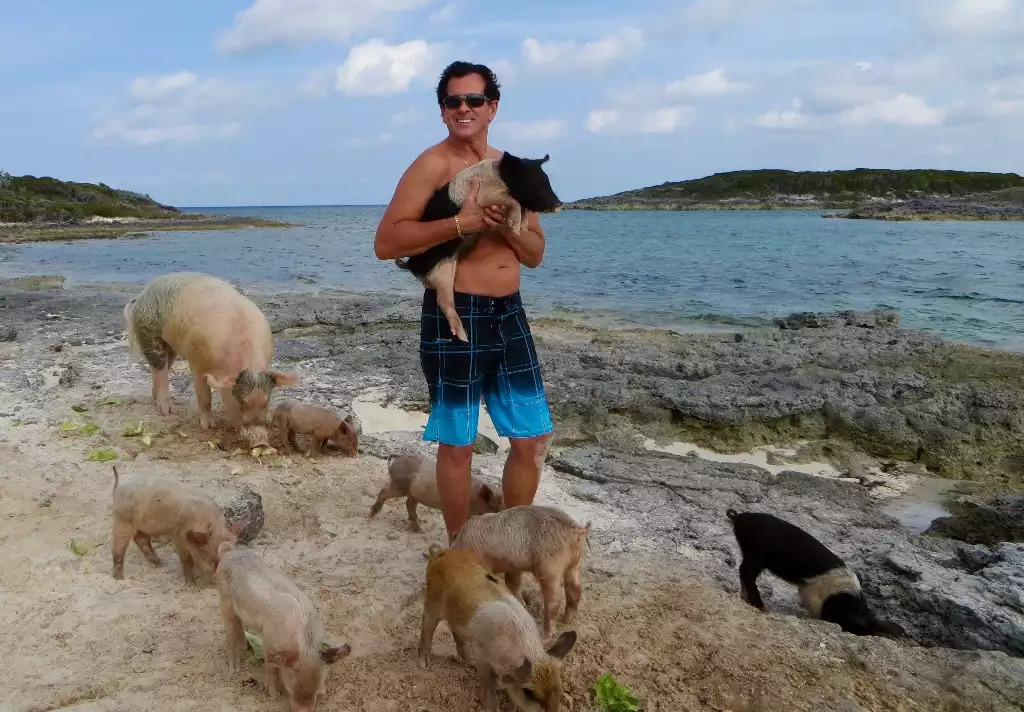 The famous swimming pigs The famous swimming pigs - Turtle View - Exuma