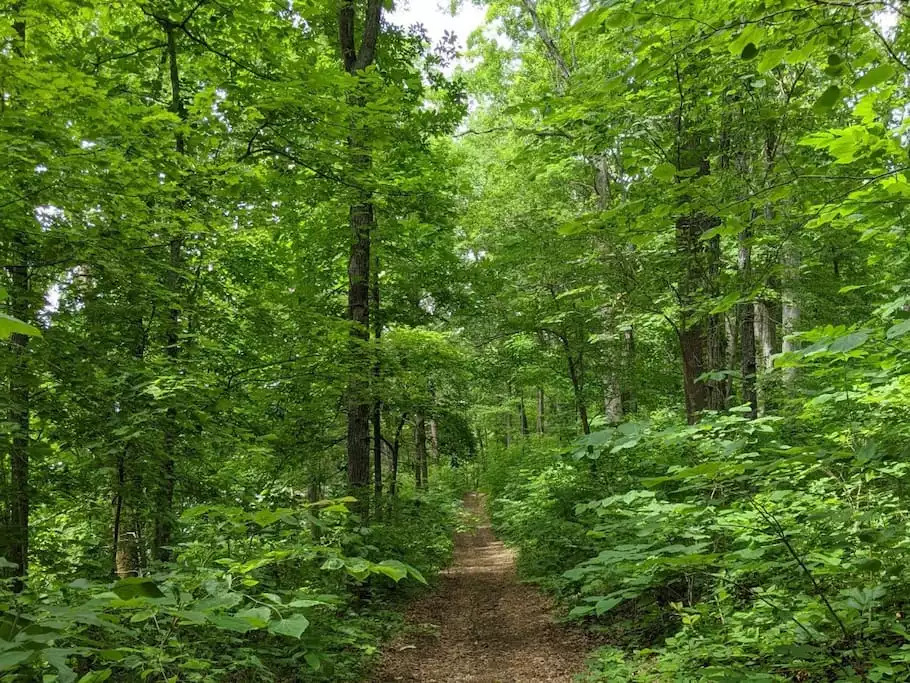 Nature paths are in the neighborhood near the lake access and less than a mile from our cottage. There is no boat ramp. We are within 8 minutes to 3 boat ramps. Nature paths are in the neighborhood near the lake access and less than a mile from our cottage. There is no boat ramp. We are within 8 minutes to 3 boat ramps. - Modern TN Farmhouse at Lake Chickamauga w/ WiFi - Decatur