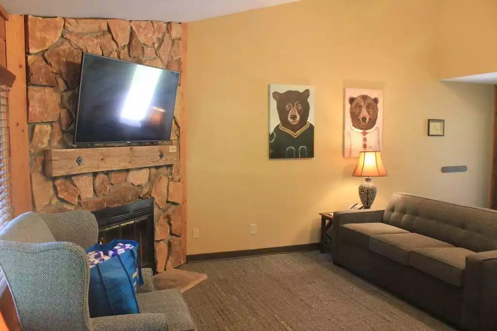 Each unit includes gas fireplace, TV in every room, queen sized pull out sleeper sofa, free Wi-Fi, vaulted ceilings, central heat and AC with own thermostat. The cabin also provides pool towels for 6. Each unit includes gas fireplace, TV in every room, queen sized pull out sleeper sofa, free Wi-Fi, vaulted ceilings, central heat and AC with own thermostat. The cabin also provides pool towels for 6. - Entire Cabin 3 Wisc Dells 3 Beds(2Bedrooms) 2Baths - Wisconsin Dells