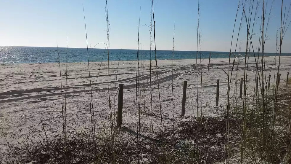 Beautiful white sand beaches! Beautiful white sand beaches! - Deb's Grand Lagoon 3 BR Home - Panama City Beach
