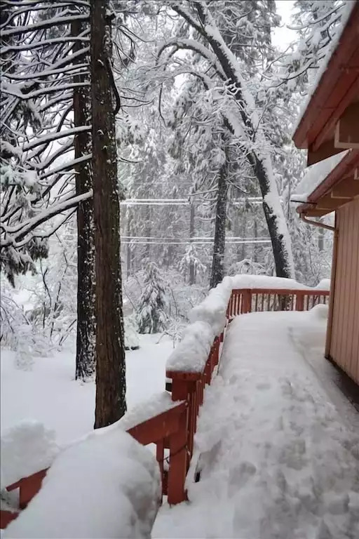 Dancing Bear Cabin in Arnold: 408-828-5019 - Arnold Dancing Bear Cabin in Arnold: 408-828-5019 - Arnold