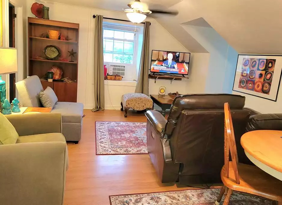 Swan Sanctuary Suite Apt living room Swan Sanctuary Suite Apt living room - Premier APT wellness nature reserve SwanSanctuary - Birdsboro
