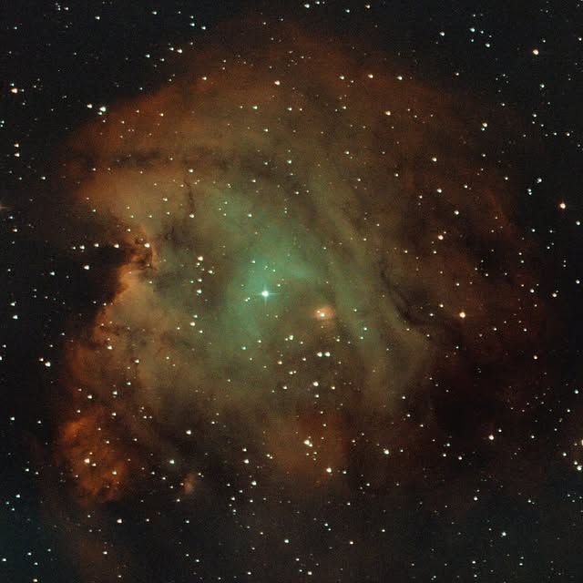 Monkey Head Nebula