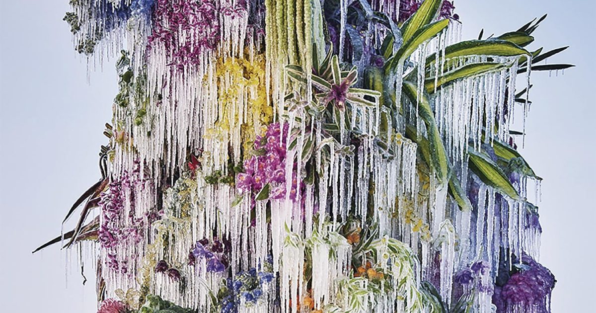 Wilco, Cousin New Music, Songs, & Albums, 2024