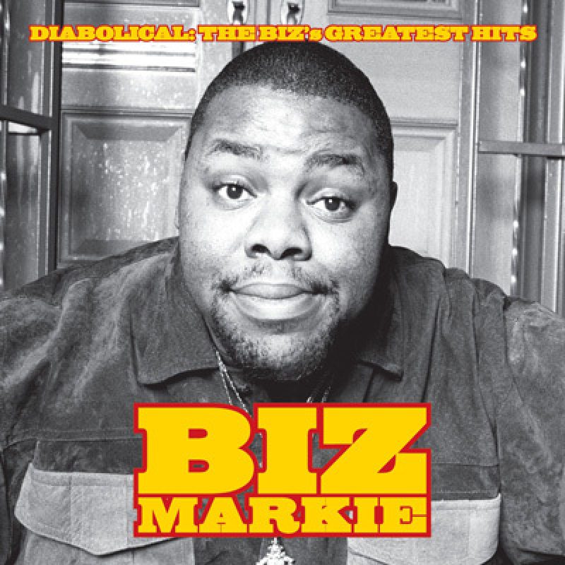 THE DIABOLICAL BIZ MARKIE パズル THE DIABOLICAL BIZ MARKIE パズル