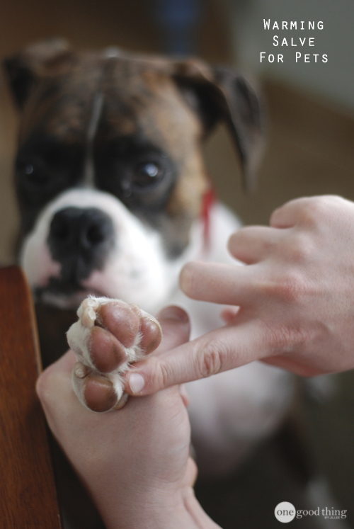 Pet Warming Salve 6