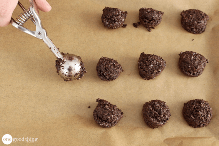 Coffee Grounds Garbage Disposal Cleaner Tablets