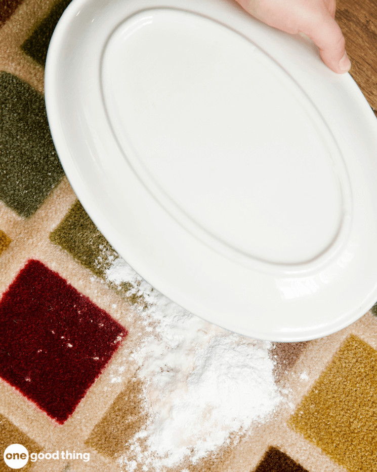Pet Stain Remedy
