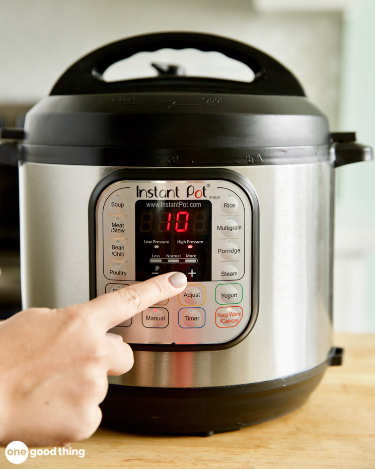 Instant Pot Chicken