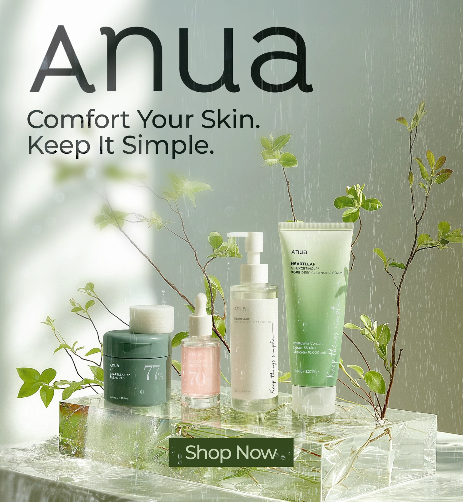 Anua Brand Spotlight