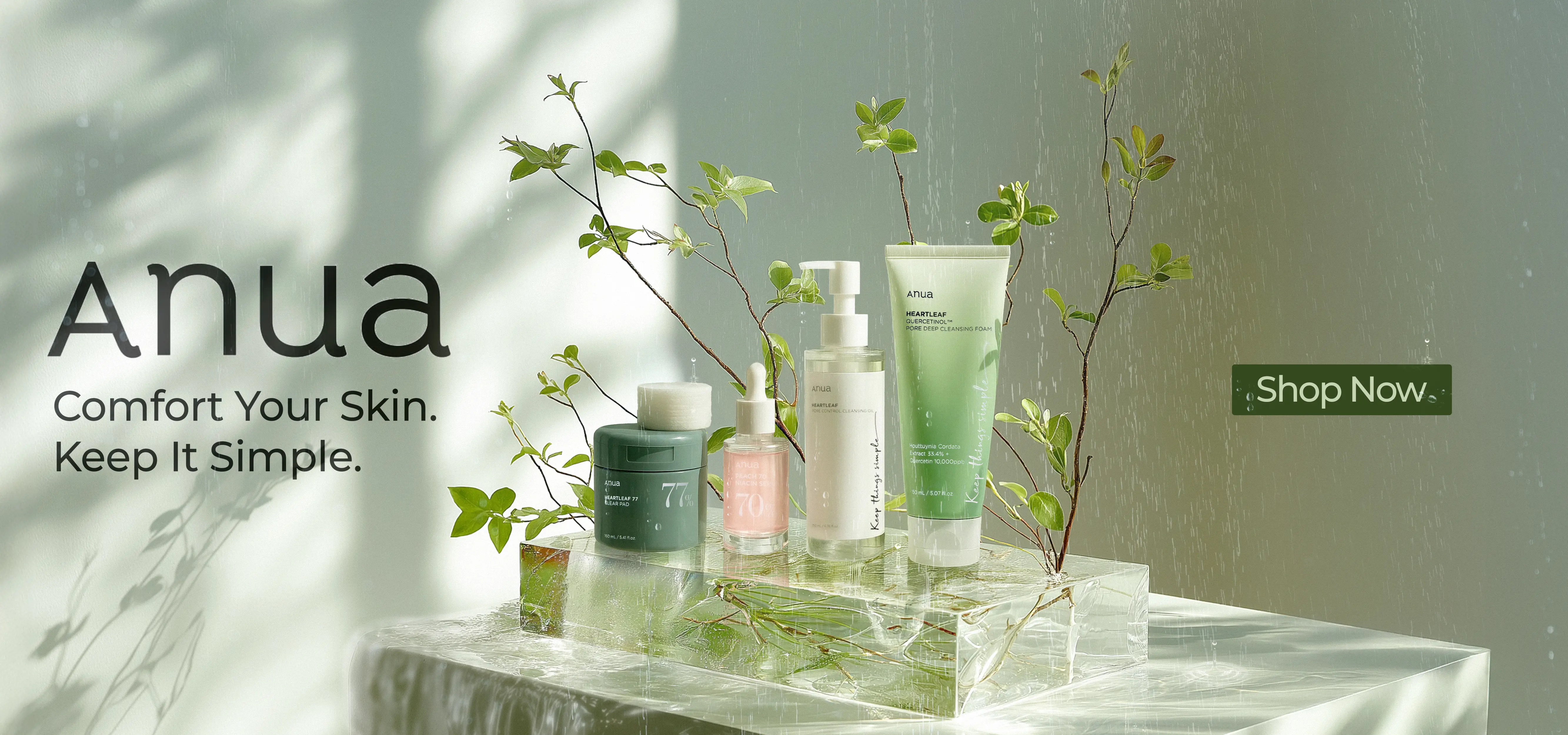 Anua Brand Spotlight