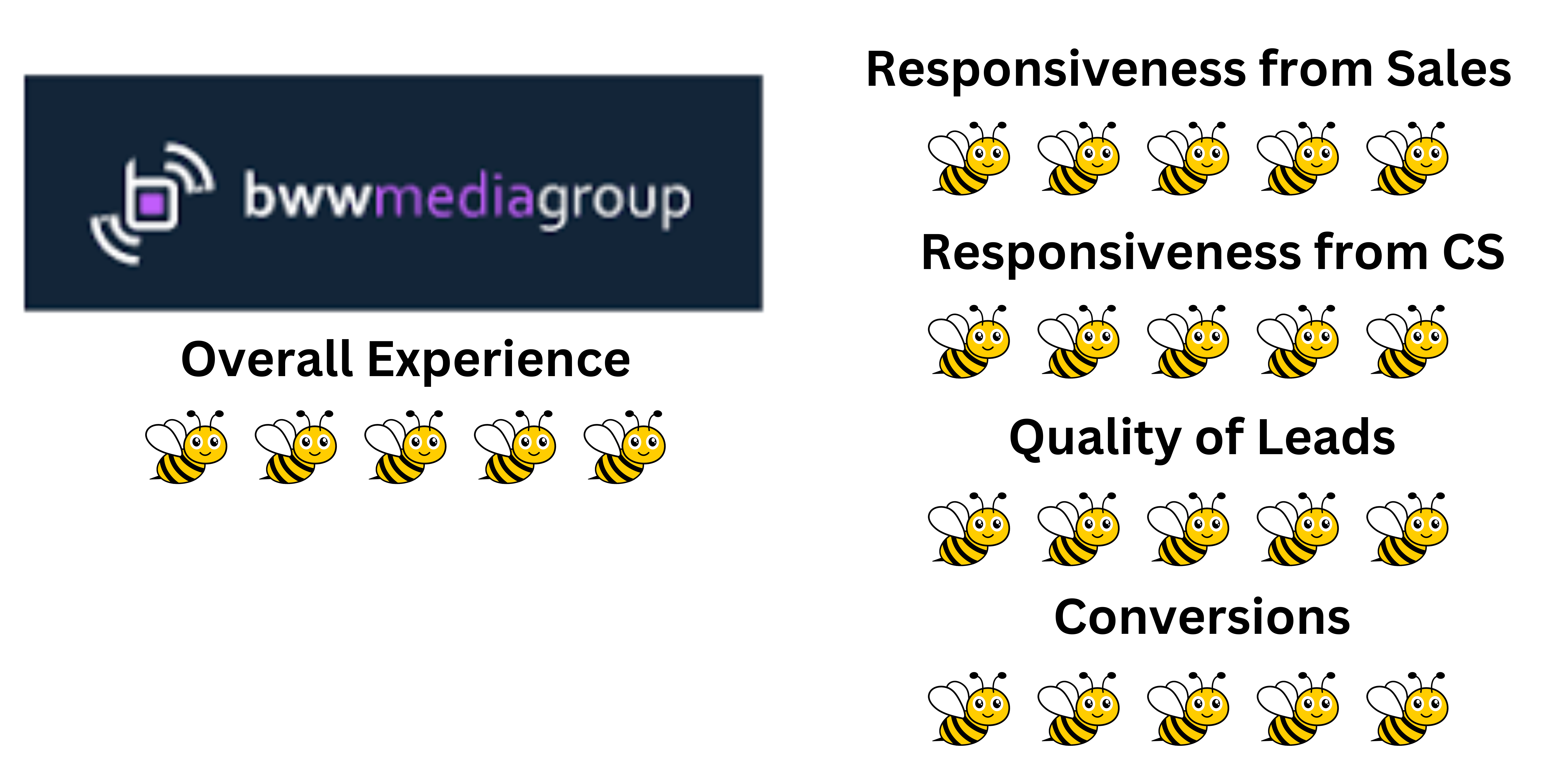 BWW Media Group BeeLeads Review