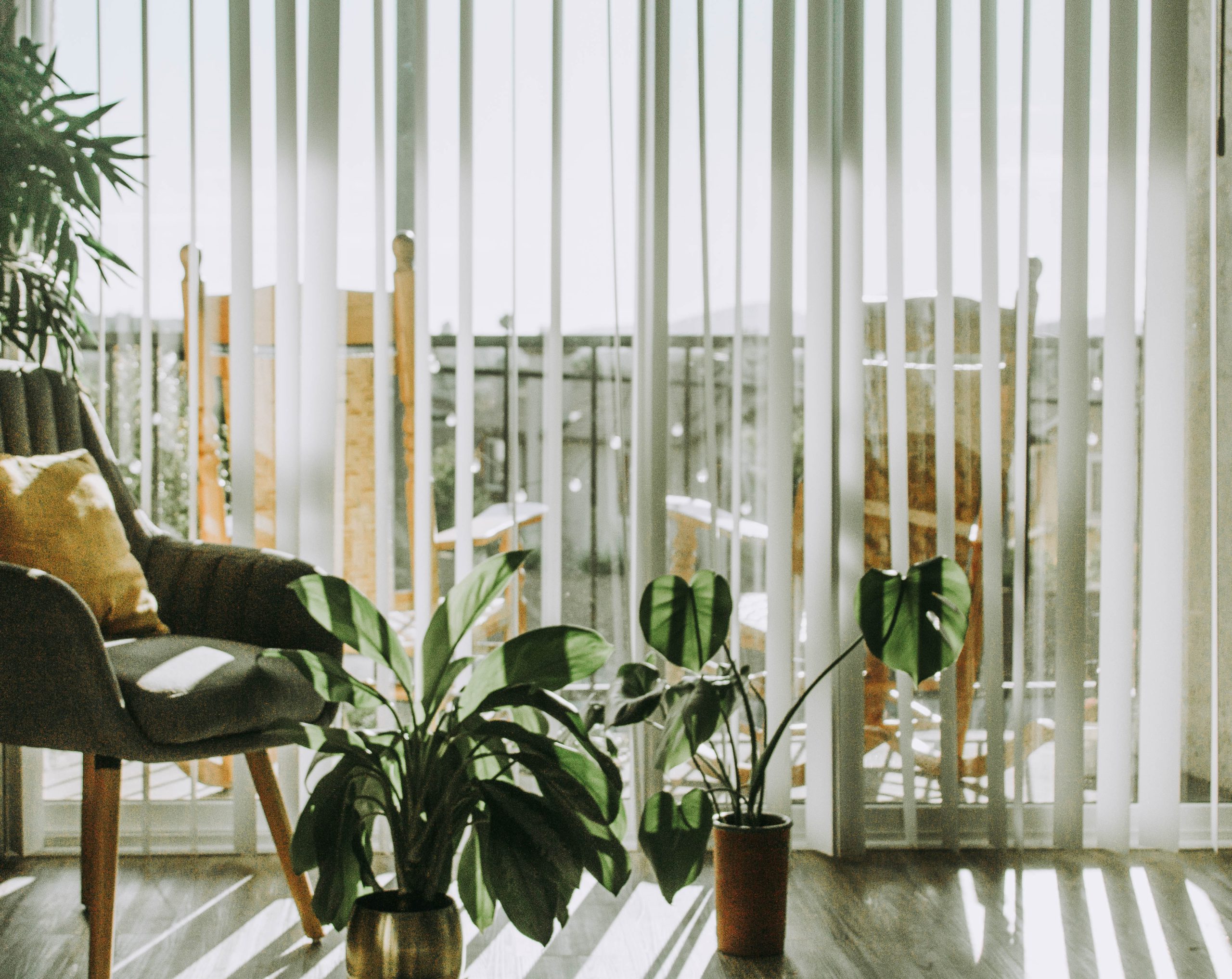 keep house plants happy during the winter.