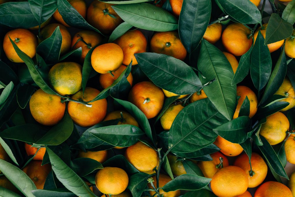 Sustainable Grocery Shopping