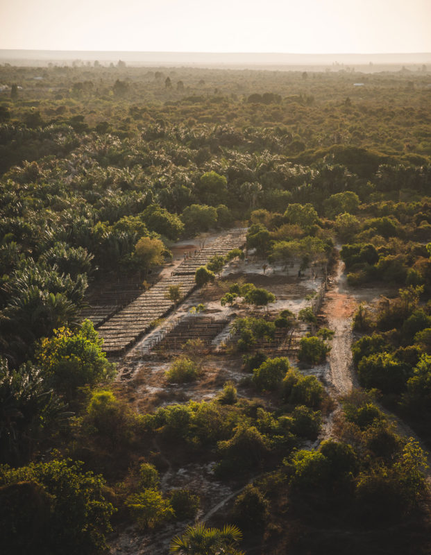 aerial nursery shot