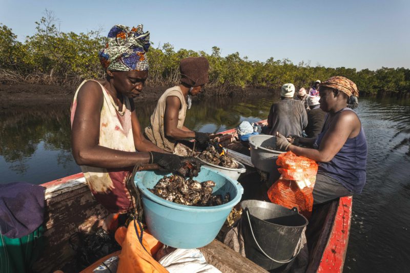 women with mollusks