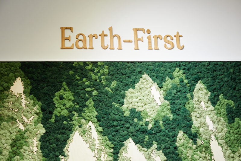 earth-first moss wall