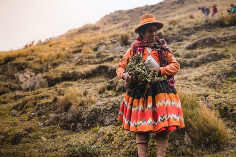 Woman with seedlings