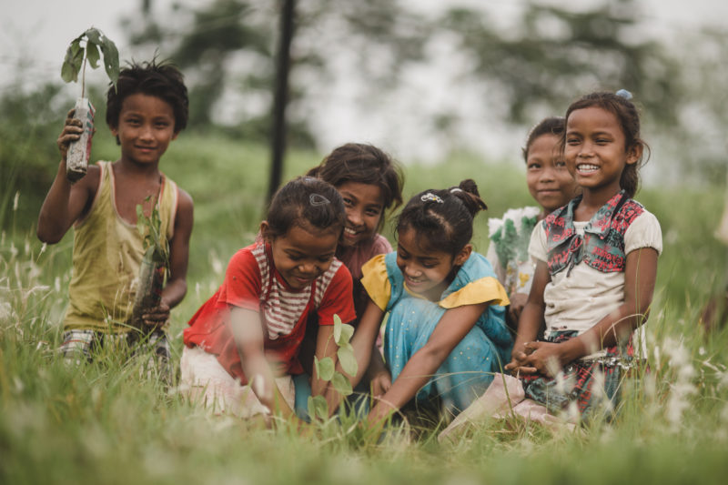 groups of kids smiling with seedling
