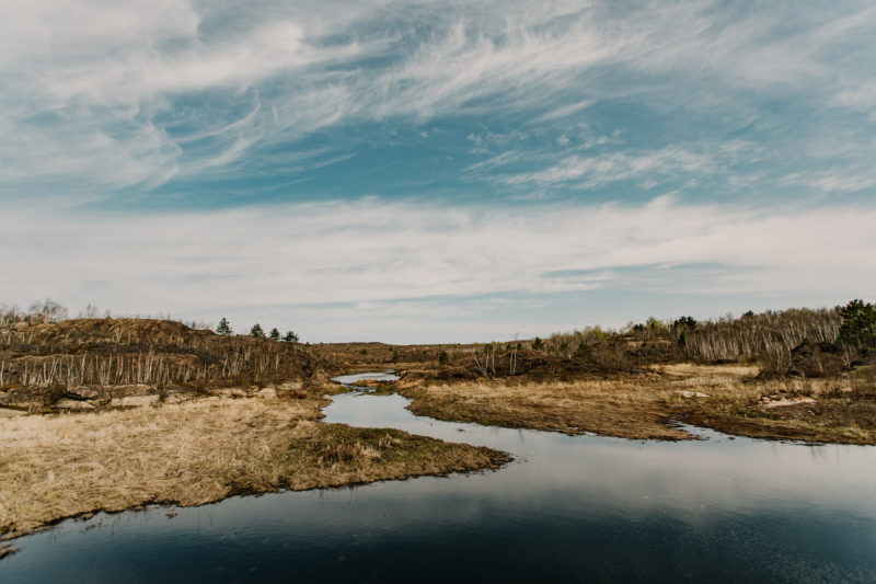 stream in Sudbury