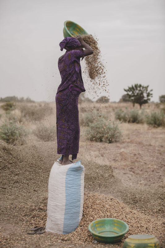 woman pouring peanut husks