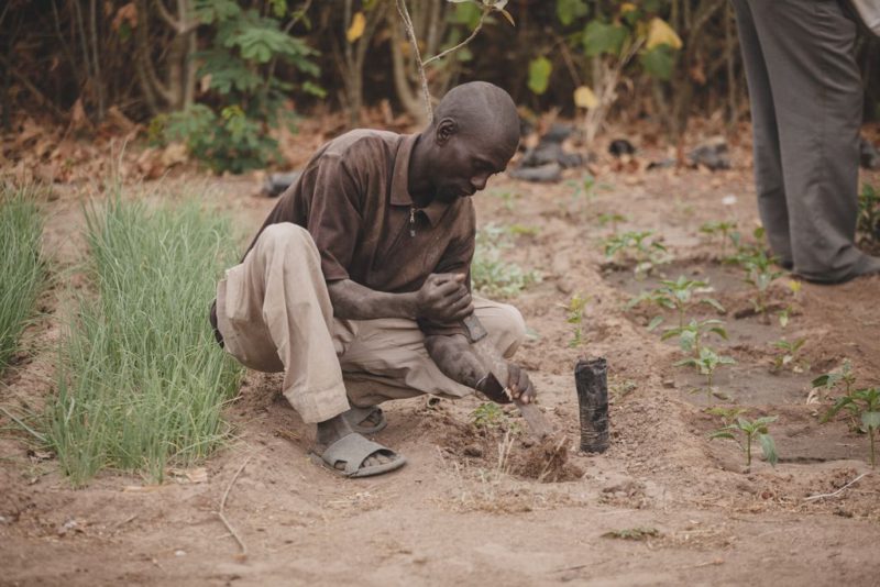 man planting