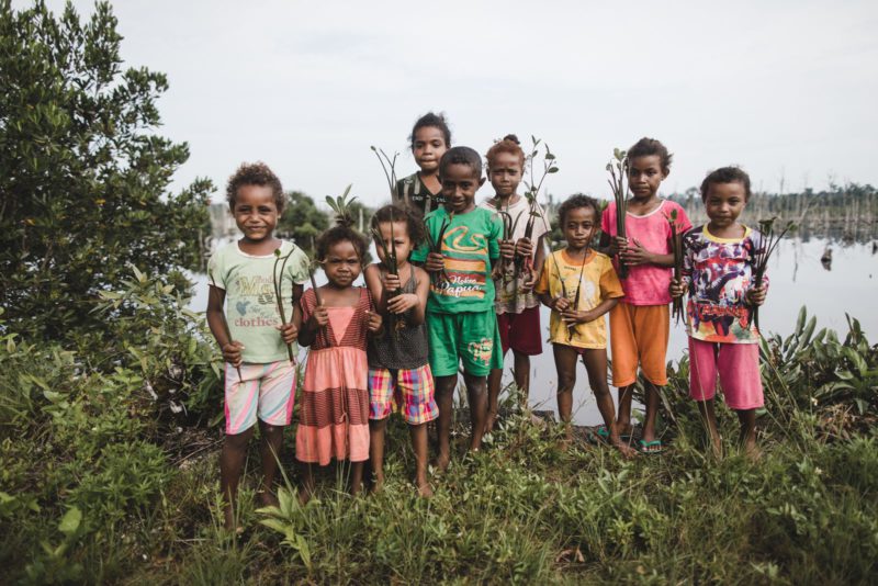 little kids with seedlings