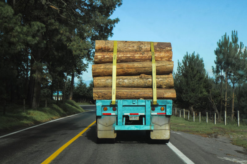logs on truck
