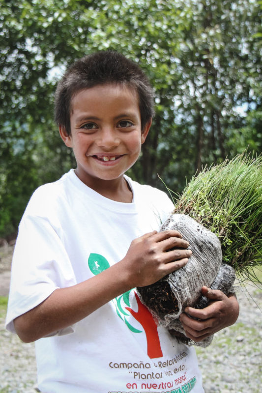child holding sapling