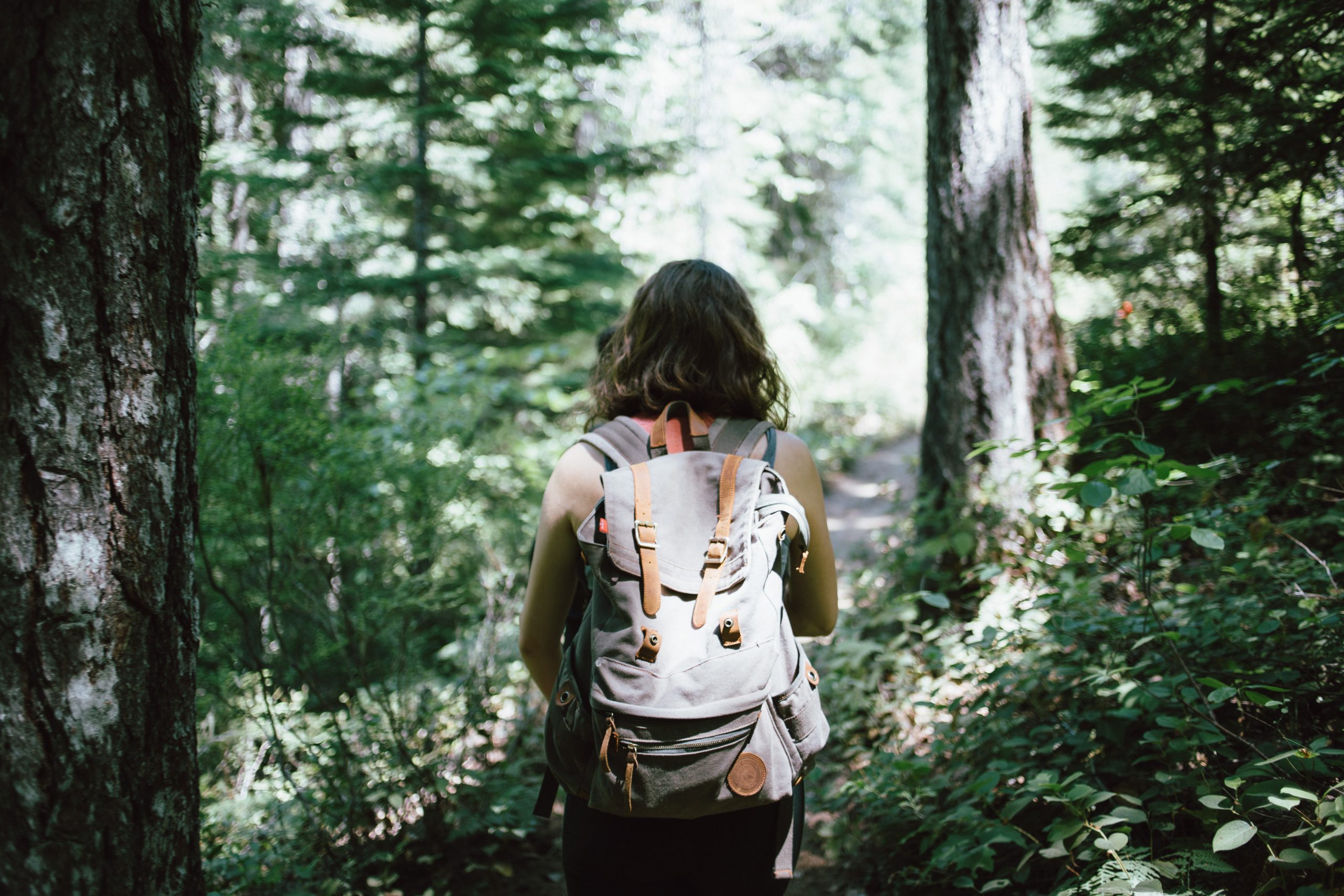 hiking in the woods
