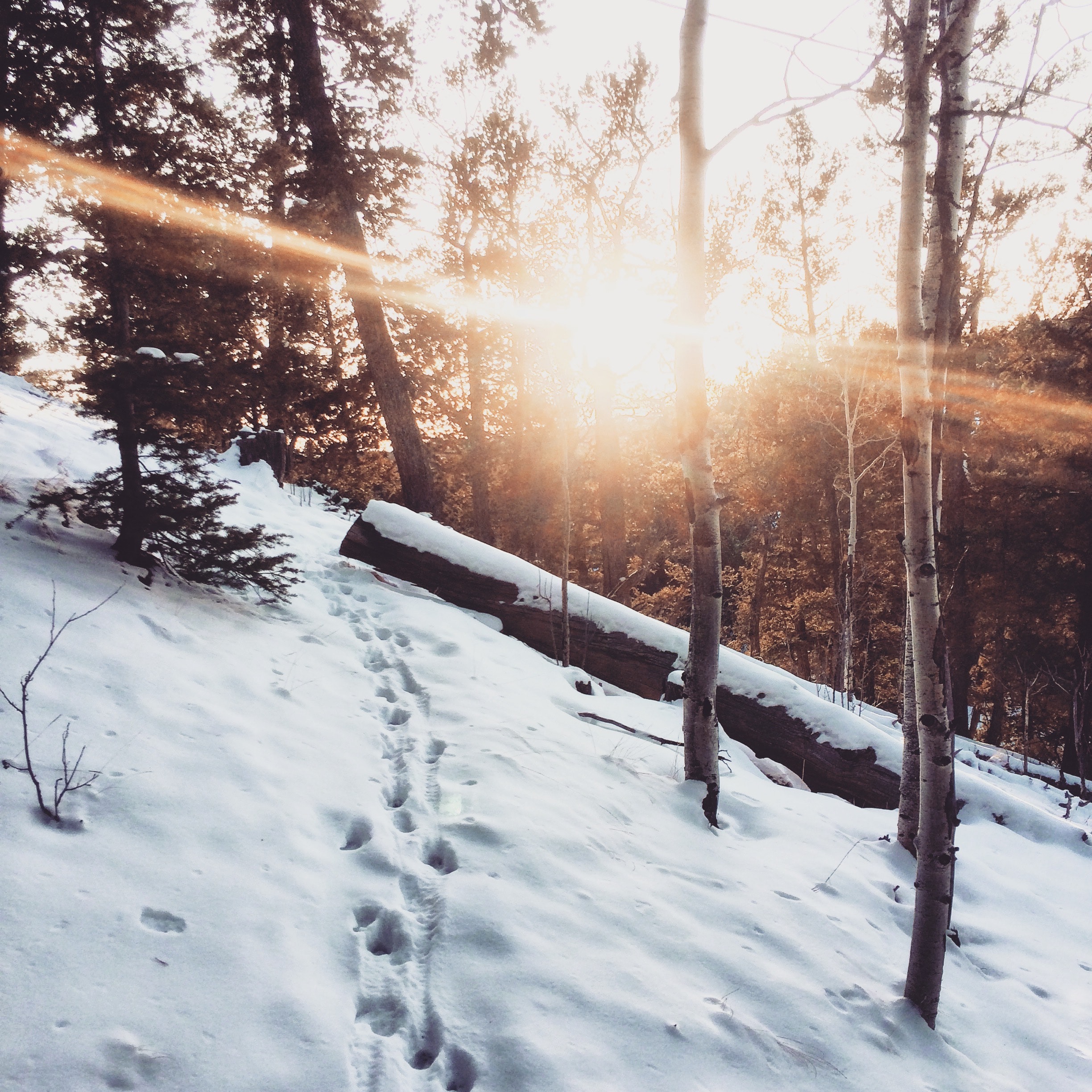 winter solstice