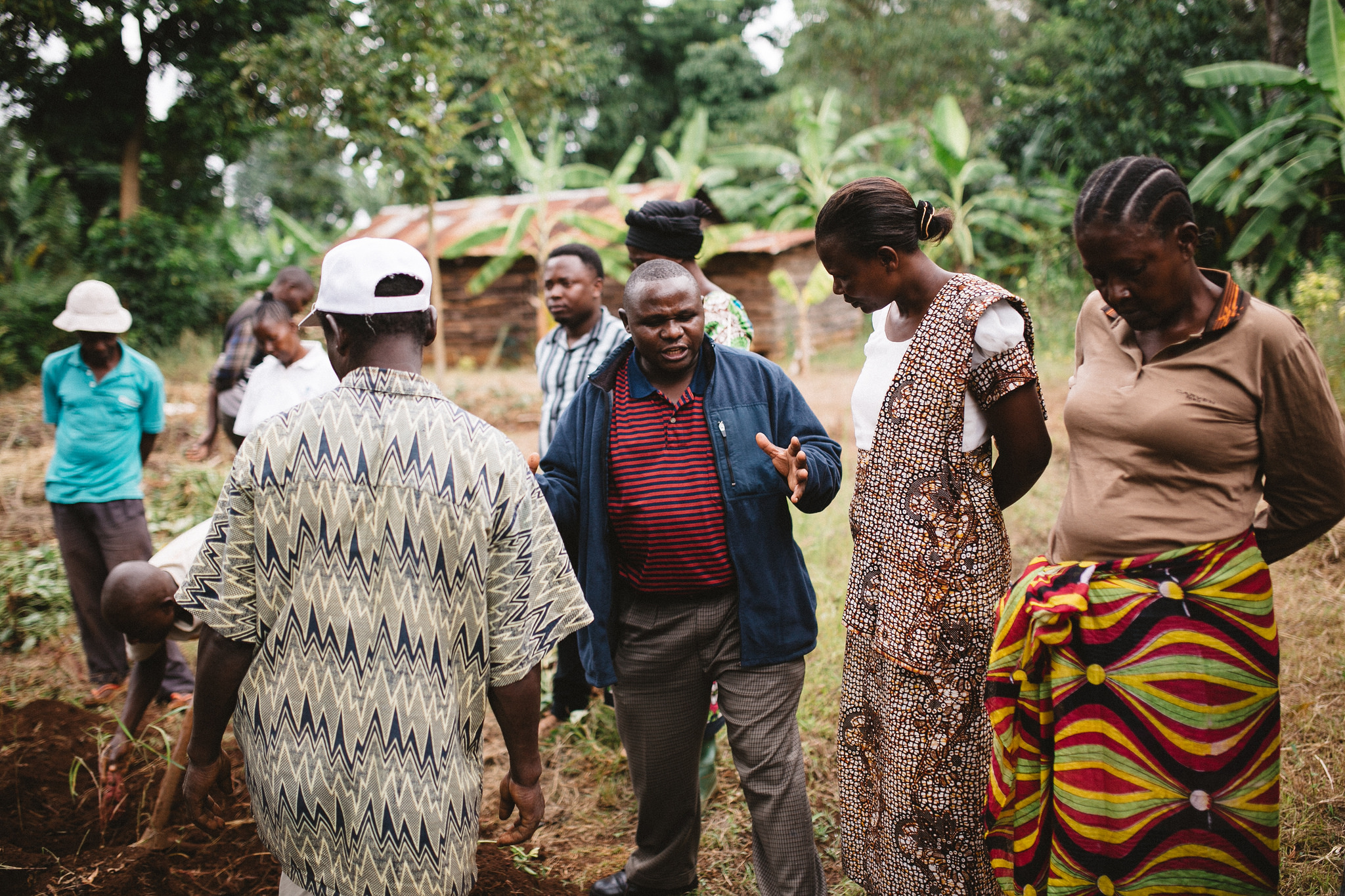 tentree planting site