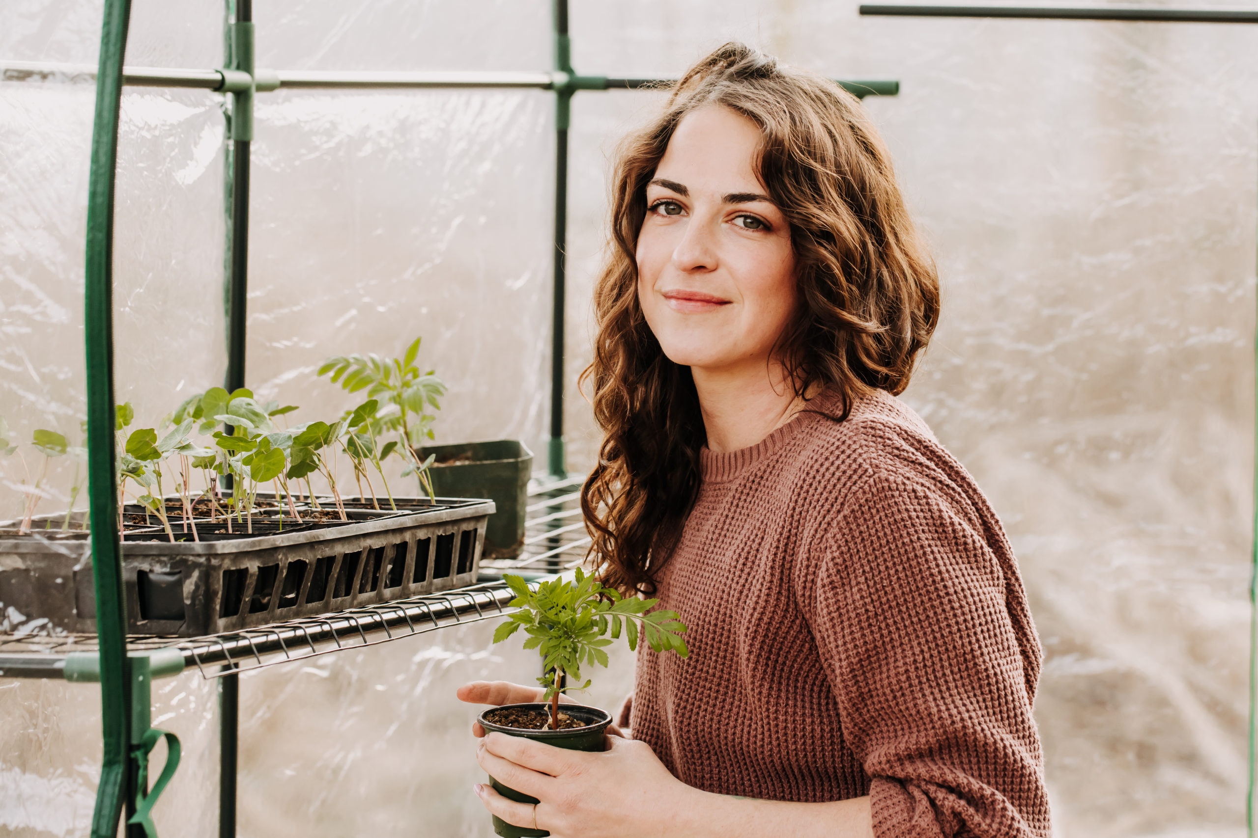 regenerative Farming