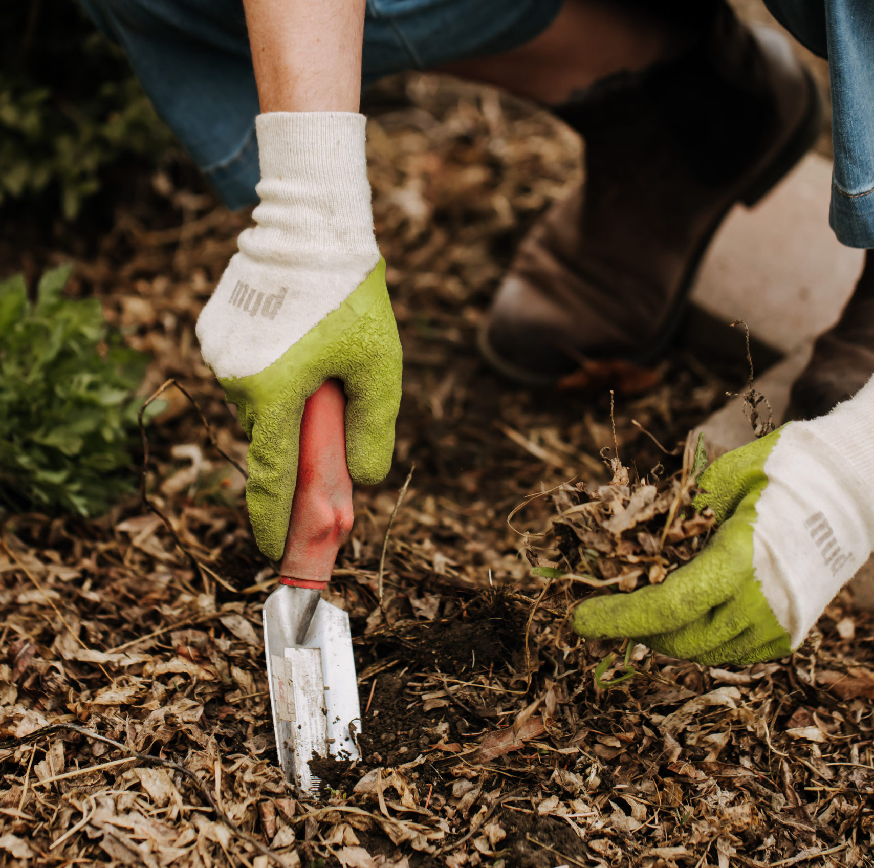 Regenerative Farming